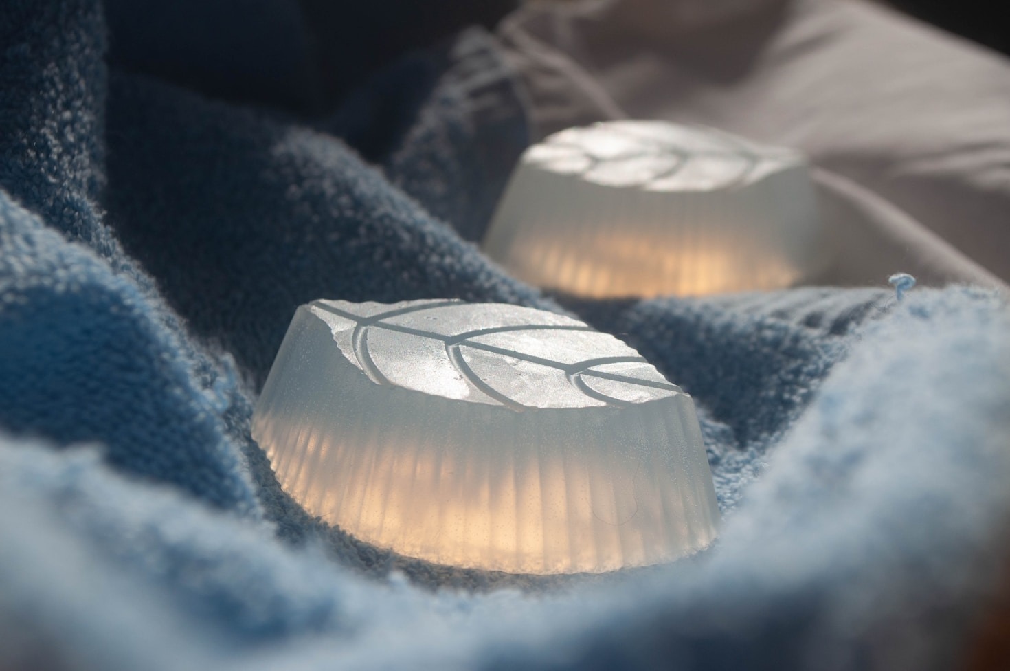 How Green Nutra Co Redefines Skincare Standards